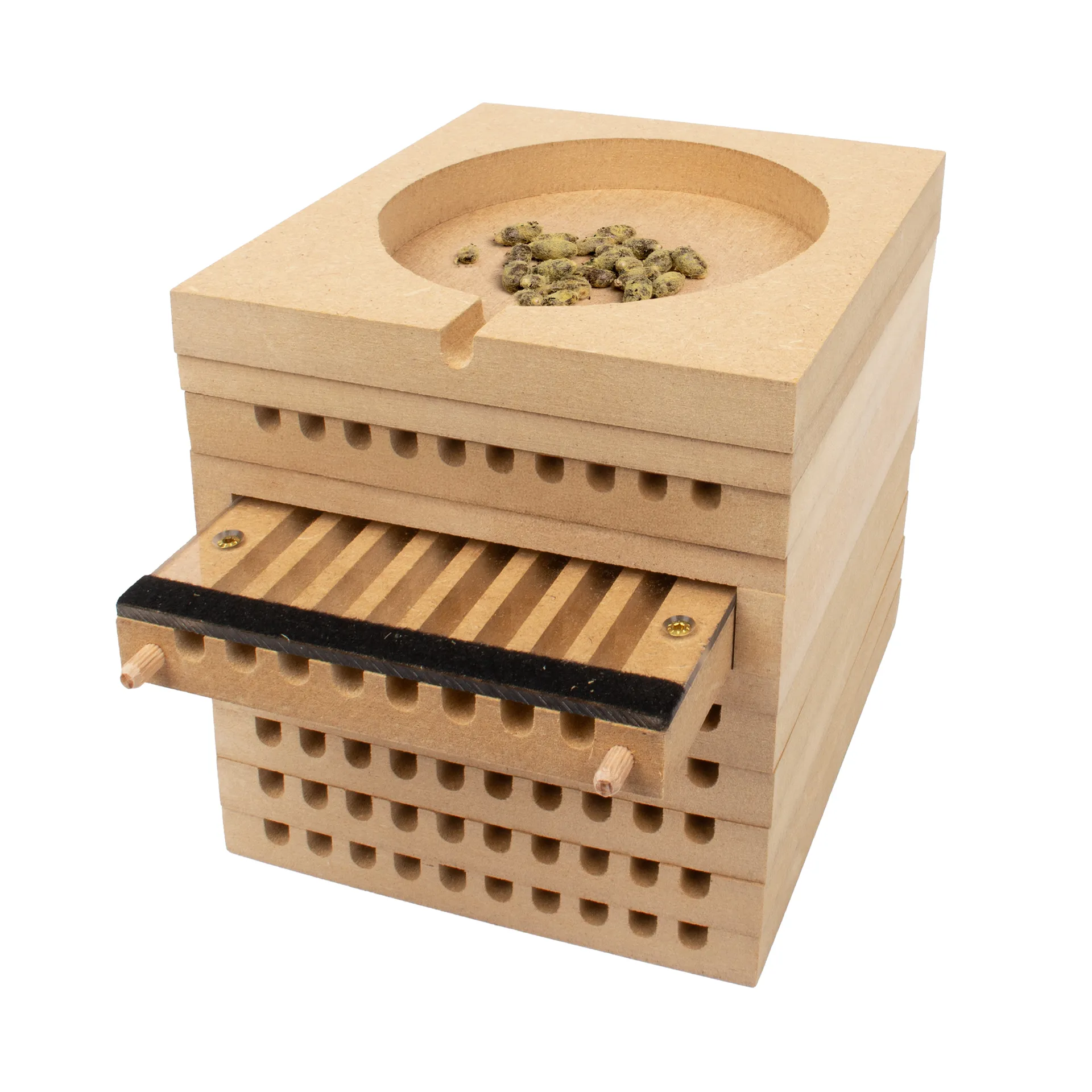 Zuchtset "Wildbienen mit Kokons", Gehörnte Mauerbiene, 5-tlg.