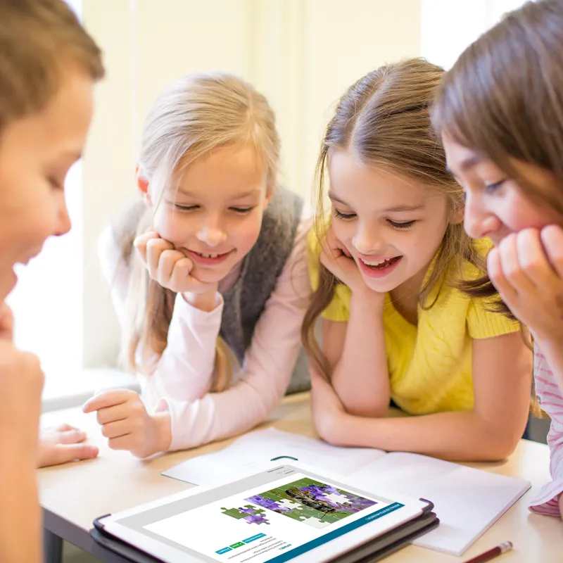 Kweekset "lieveheersbeestje", 6-delig