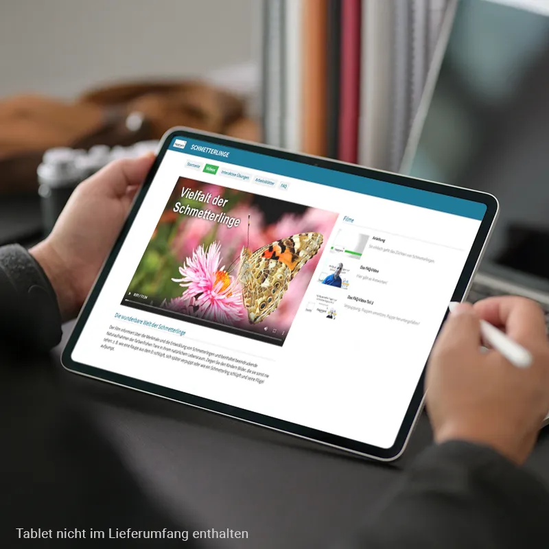 Gutschein-Set "Gruppen-Projekt Schmetterlinge", 17-tlg.