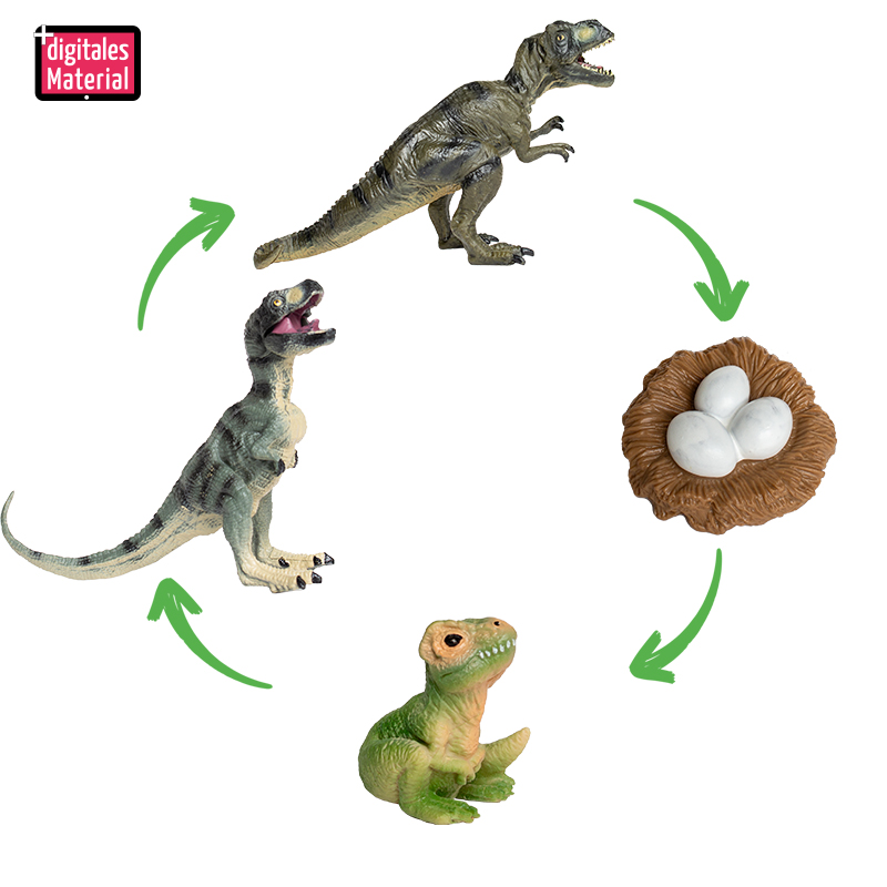 Lebenszyklus-Modell "Dinosaurier", 4-tlg.