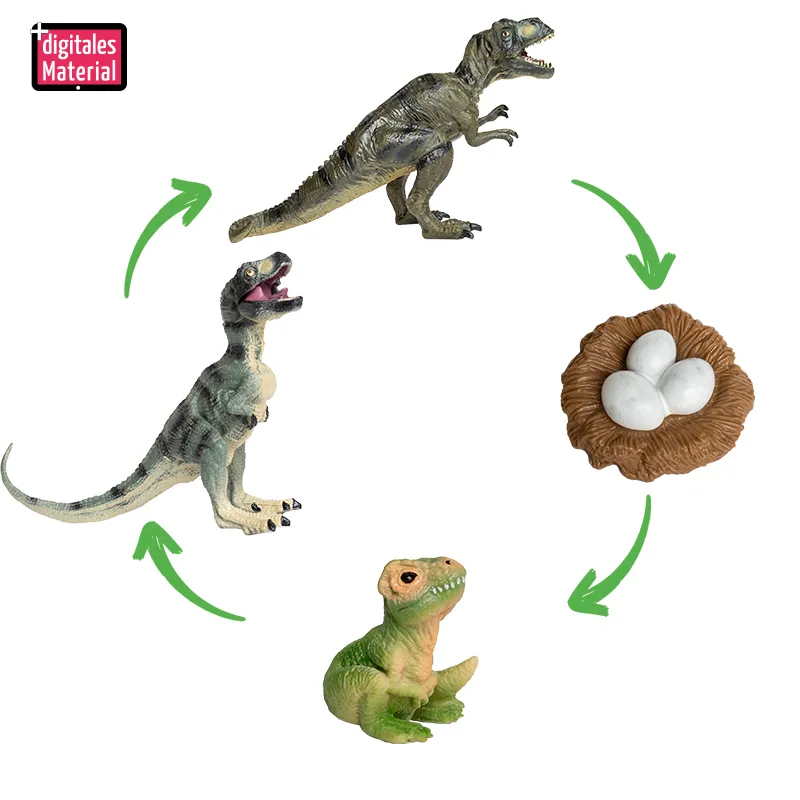 Lebenszyklus-Modell "Dinosaurier", 4-tlg.