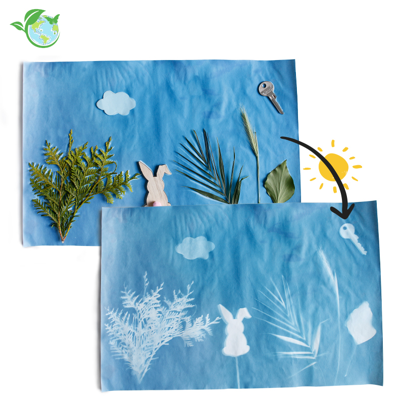 TimeTEX Foto-Solarpapier maxi, 43x27 cm, 20 Blatt