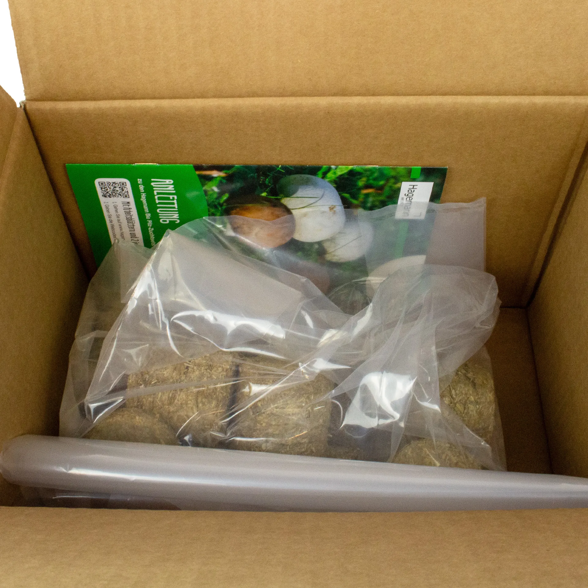 Zuchtset "Braunkappe", Pilze