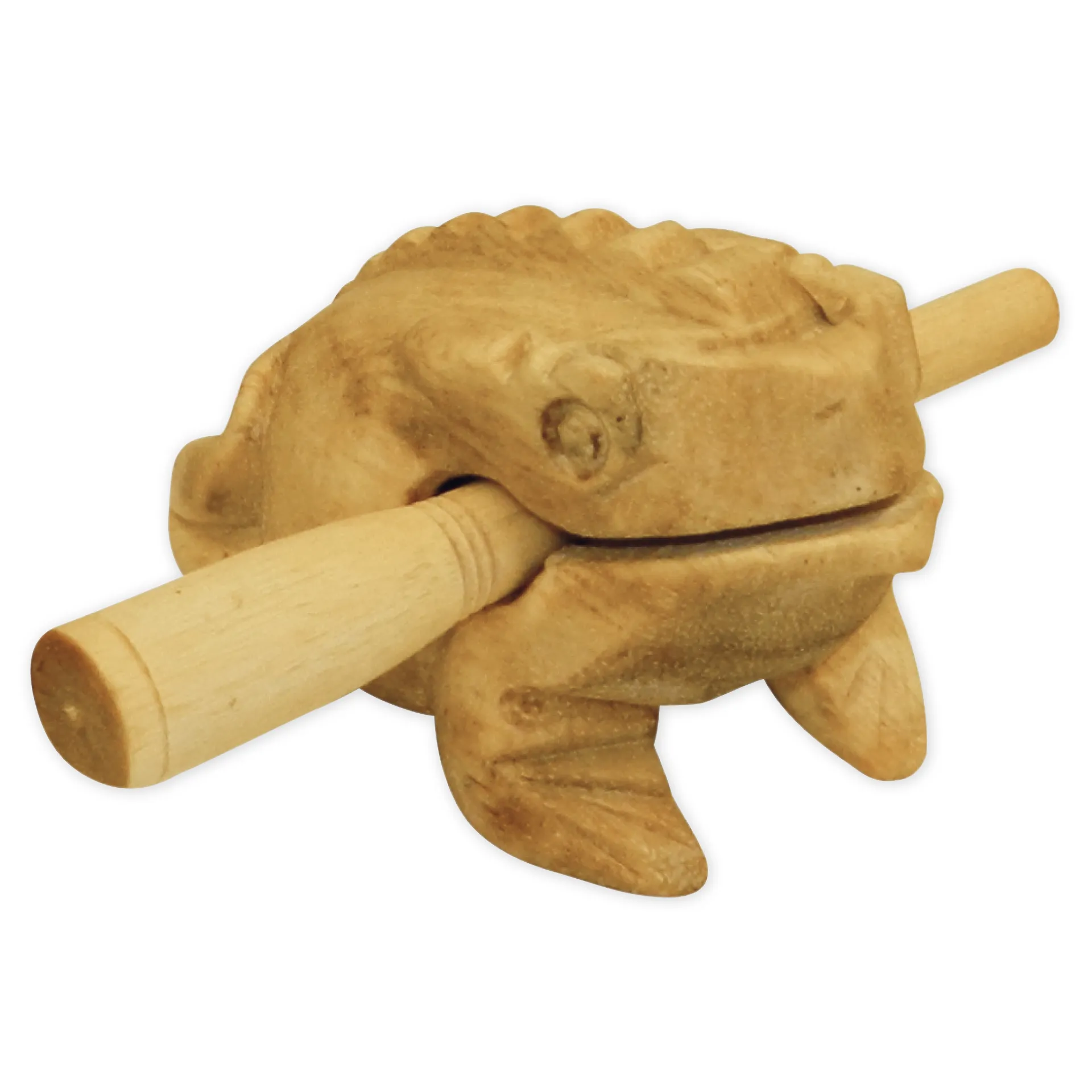 Ljudinstrumentfrö, medium