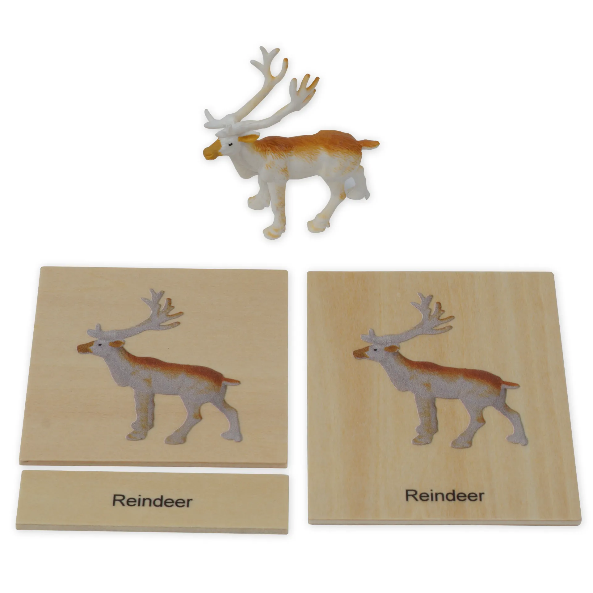 TimeTEX Mini-Tiere-Set Europa "Montessori Premium"