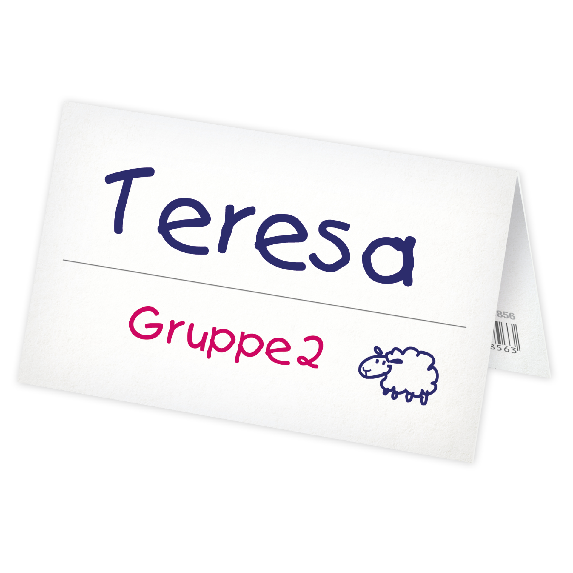 TimeTEX Set Aufstell-Namenskärtchen aus Pappe, 100-tlg.