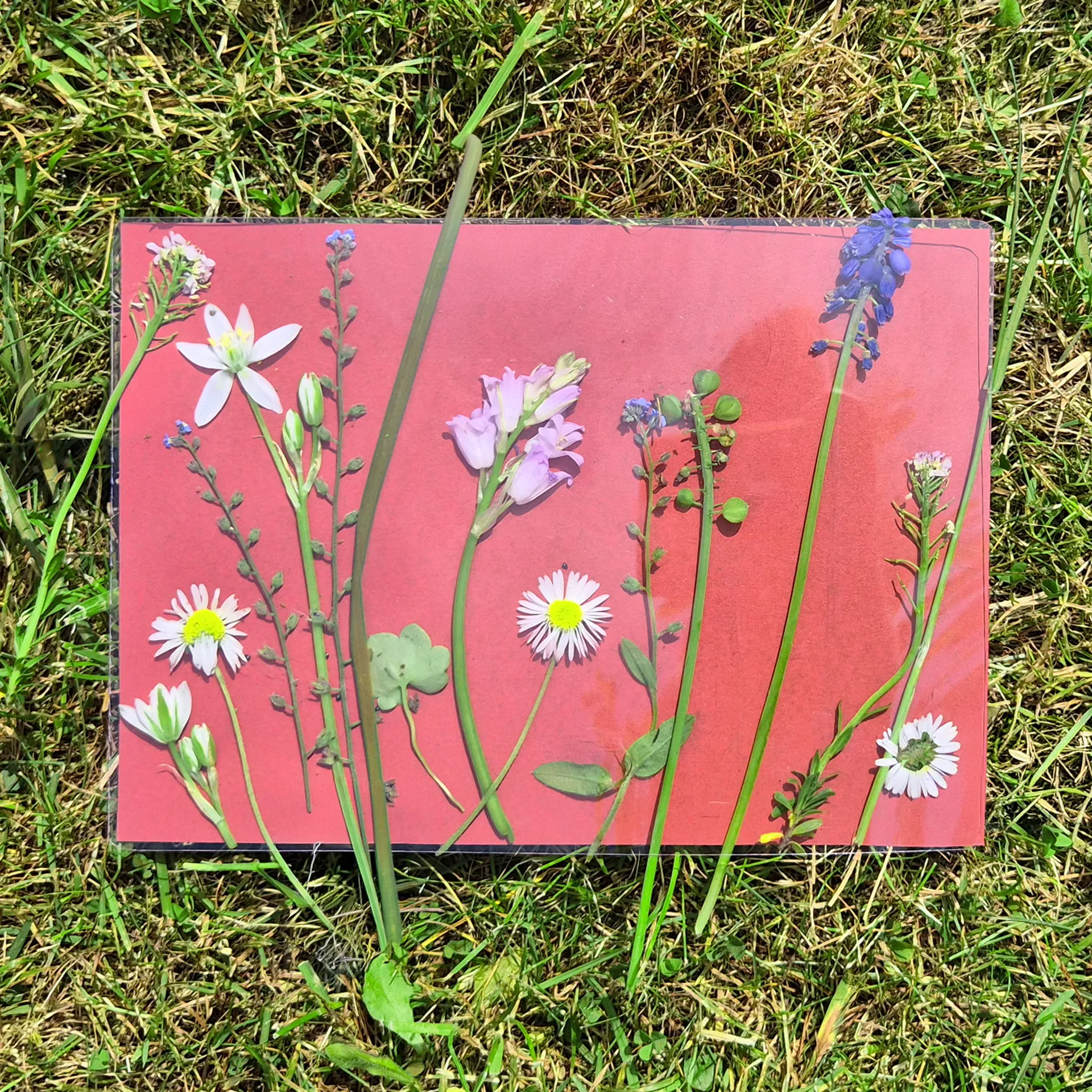 Foto-Solarpapier A5 farbig, mit Fixierscheibe, 16 Blatt