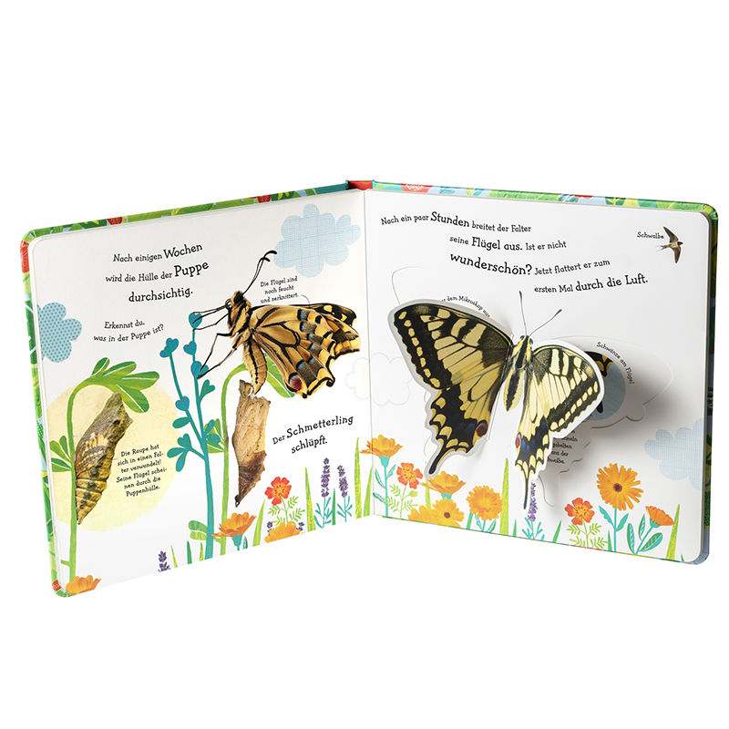 Buch "Wie wird die Raupe zum Schmetterling?", 18 Seiten