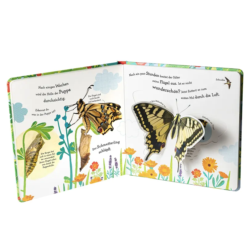 Buch "Wie wird die Raupe zum Schmetterling?", 18 Seiten