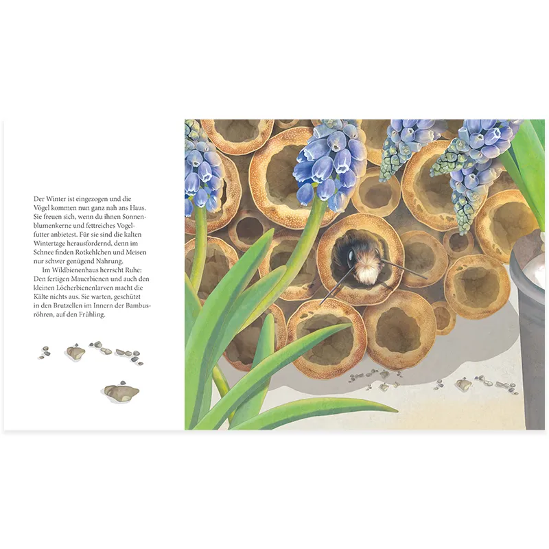 Buch "Ich bau dir ein Haus, kleine Wildbiene!", 40 Seiten