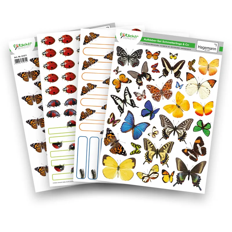 Kweekset "vlinders", compact, 7-delig