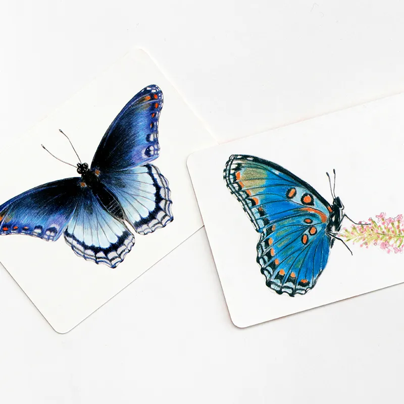 Memo-Spiel "Schmetterlinge und ihre Flügel", 50-tlg.