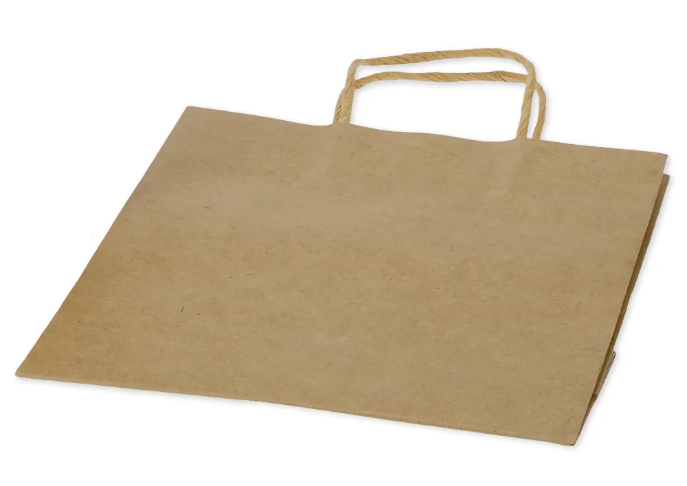 Papiertüten mit Henkel, 16x12x5 cm, 20 Stück