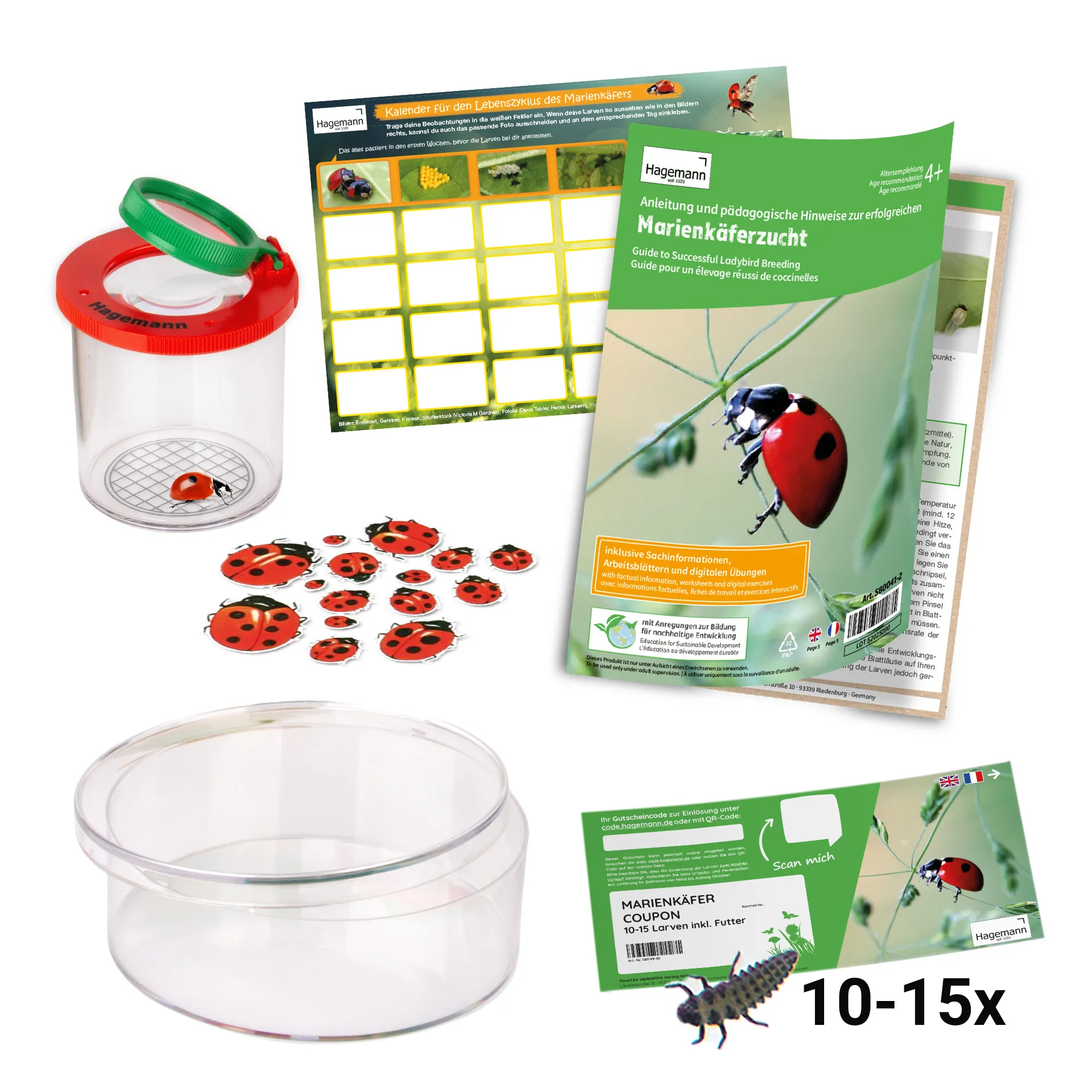 Gutschein-Set "Marienkäfer", kompakt, 5-tlg.