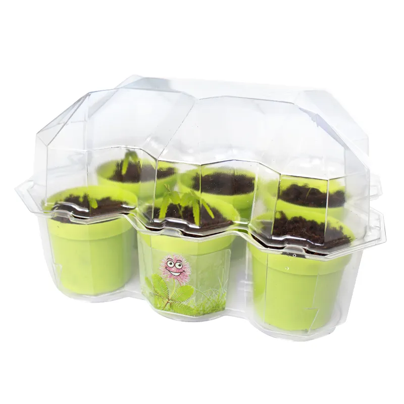 KOSMOS Zuchtset "Mimosen-Garten", 18-tlg.