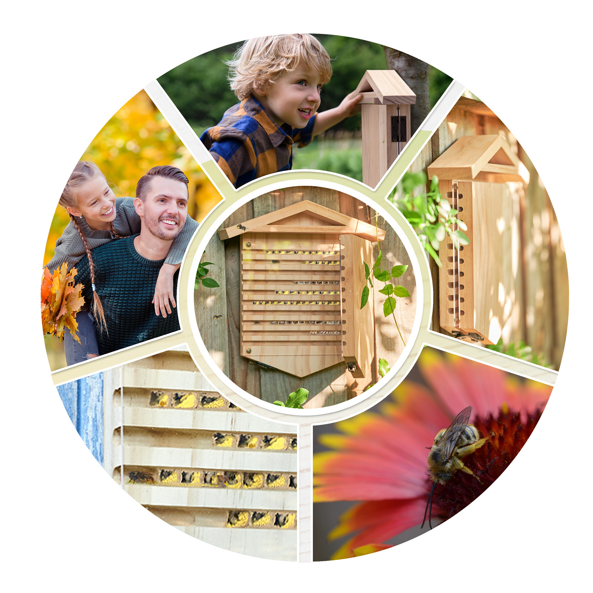 Wildbienen-Hotel mit Beobachtungsmöglichkeit, aus Holz, zum Aufklappen