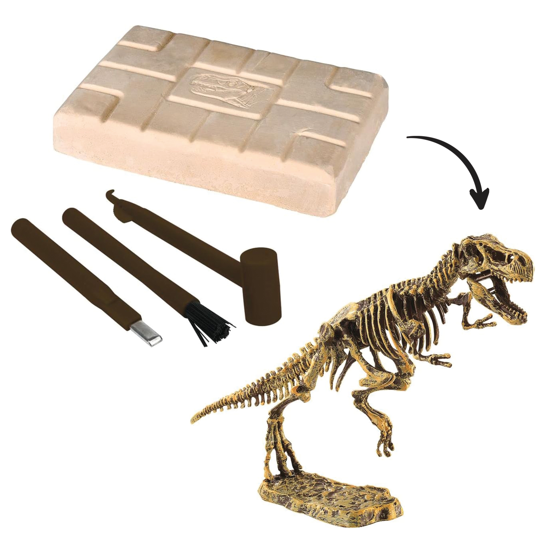 Dinosaurier-Ausgrabungs-Set "T-Rex", groß, 6-tlg. Dinosaurier-Ausgrabungs-Set "T-Rex", groß, 6-tlg.