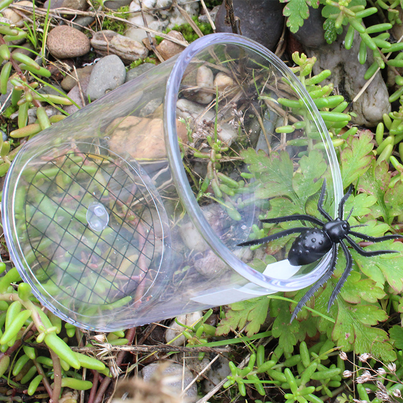 Forstørrelsesglas æske, 2 forstørrelser og skala