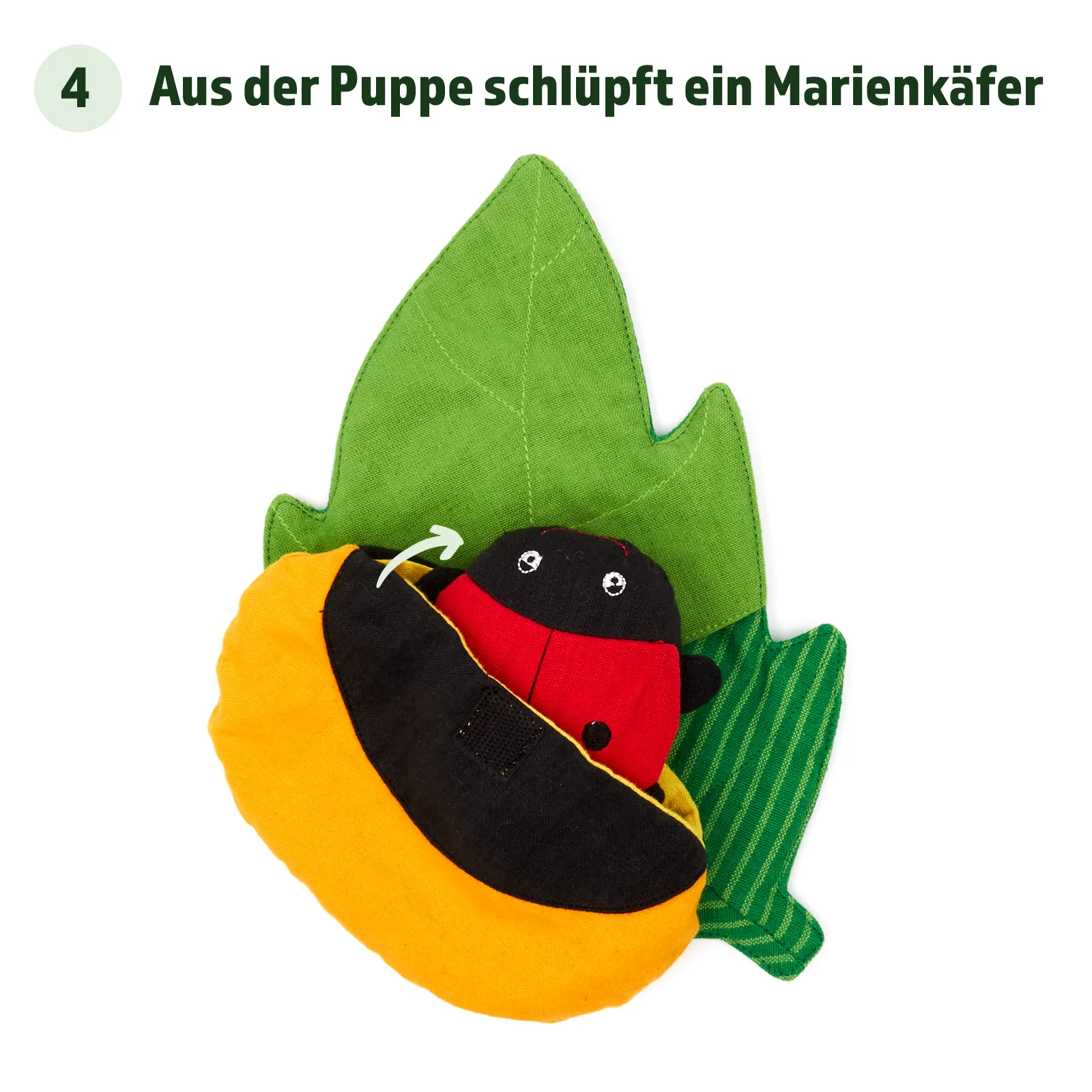 Wendepuppe "Lebenszyklus Marienkäfer", 4-tlg