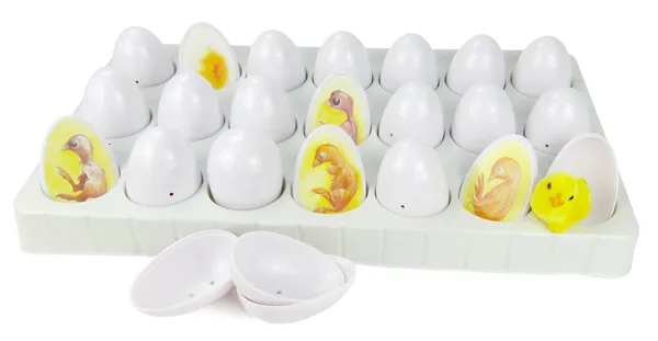 Entwicklungszyklus-Modell "Küken", 22-tlg.