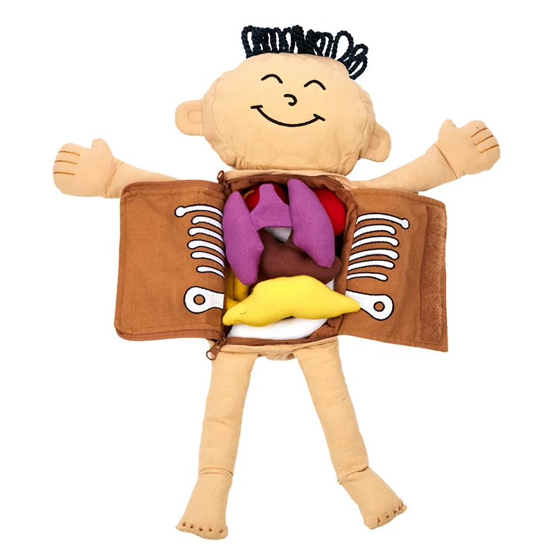 Forscher-Puppe "Mein Körper", 9-tlg.