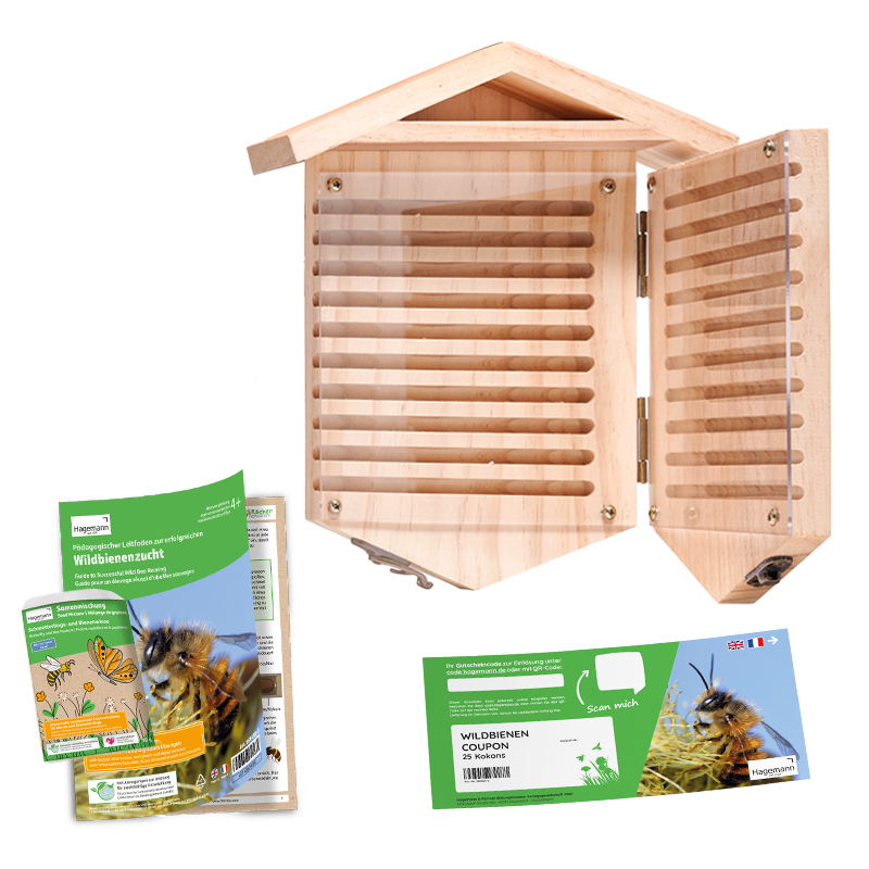 TimeTEX Gutschein-Set "Wildbienen" kompakt zum Aufklappen, Rote Mauerbiene, 4-tlg.