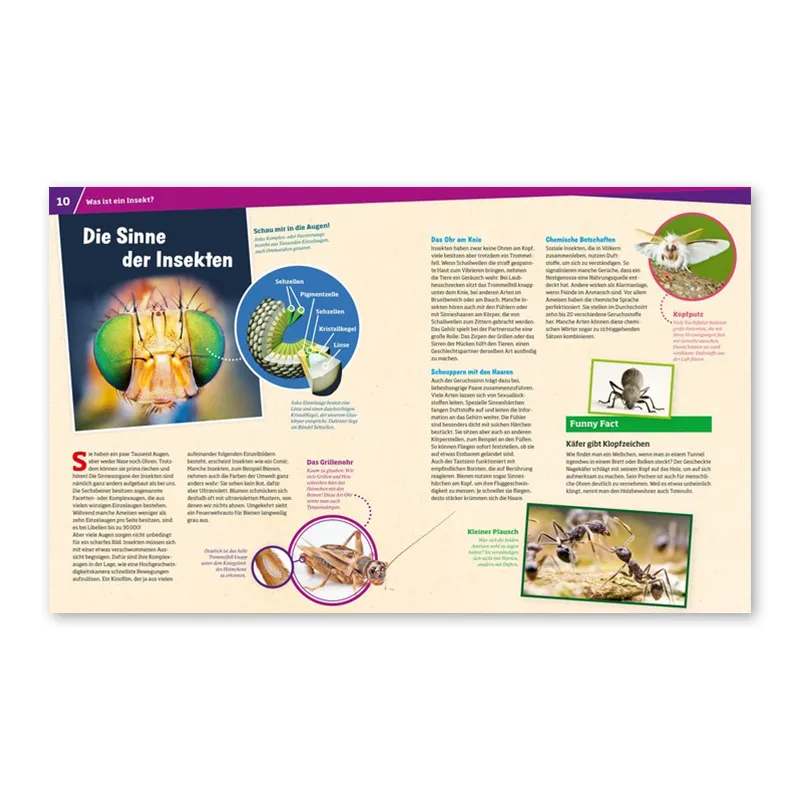 WAS IST WAS Band 30 "Insekten", 48 Seiten