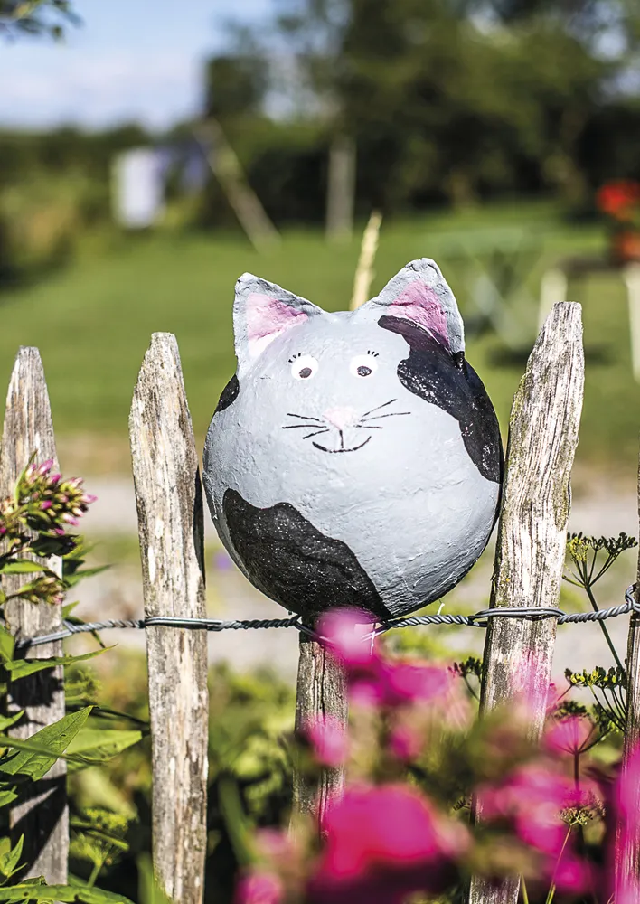 Gipsbinde Modelliergewebe 6cm x 3m 6 Rollen