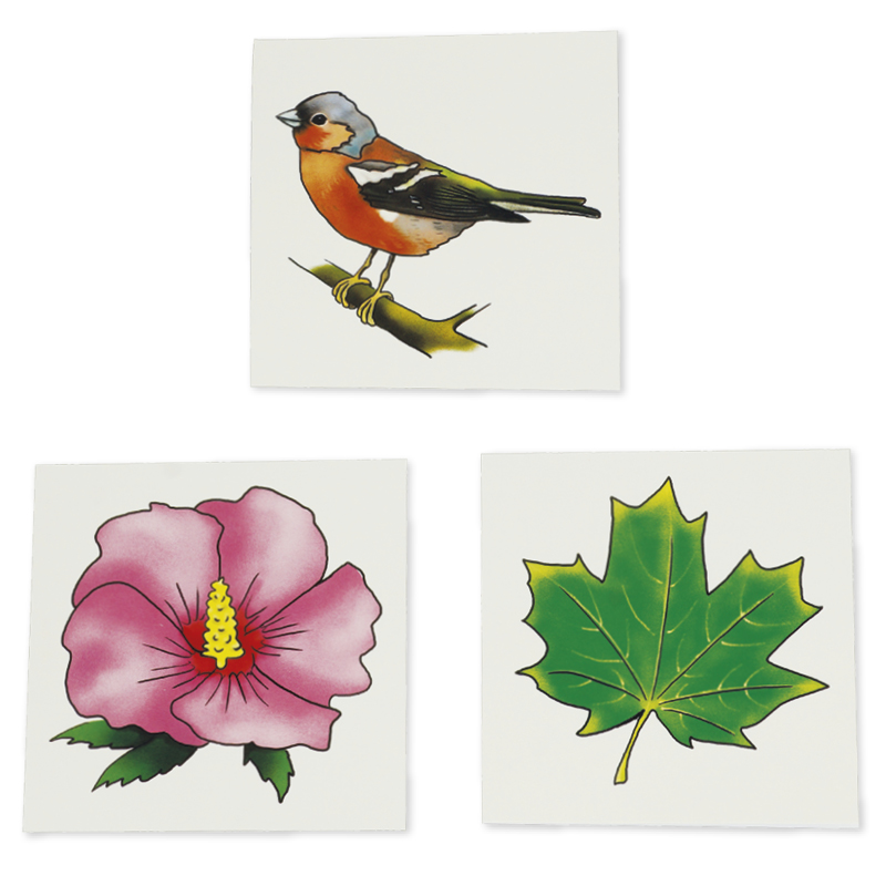 Cutiuța cu imagini "Vocabular" - animale, plante, natură