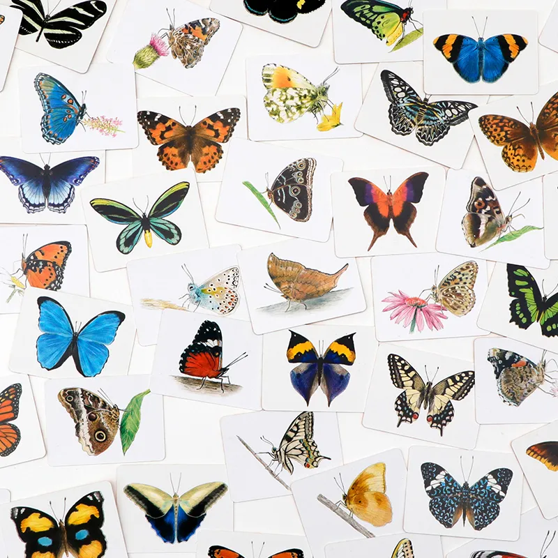 Memo-Spiel "Schmetterlinge und ihre Flügel", 50-tlg.