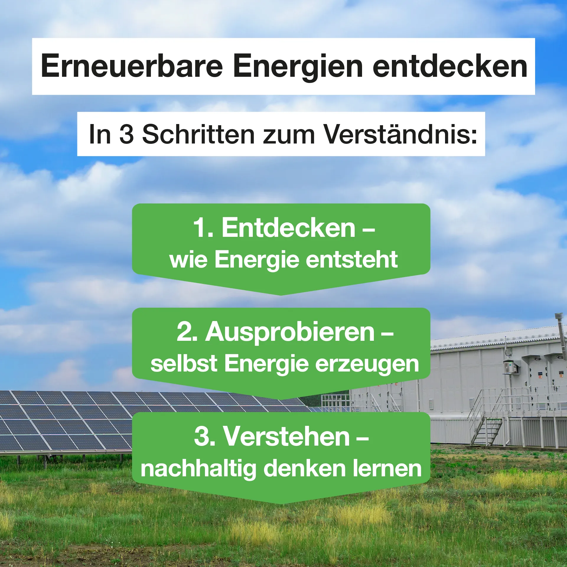 Elektro-Lernbaukasten "Erneuerbare Energien", 35-tlg. in Kunststoff-Box