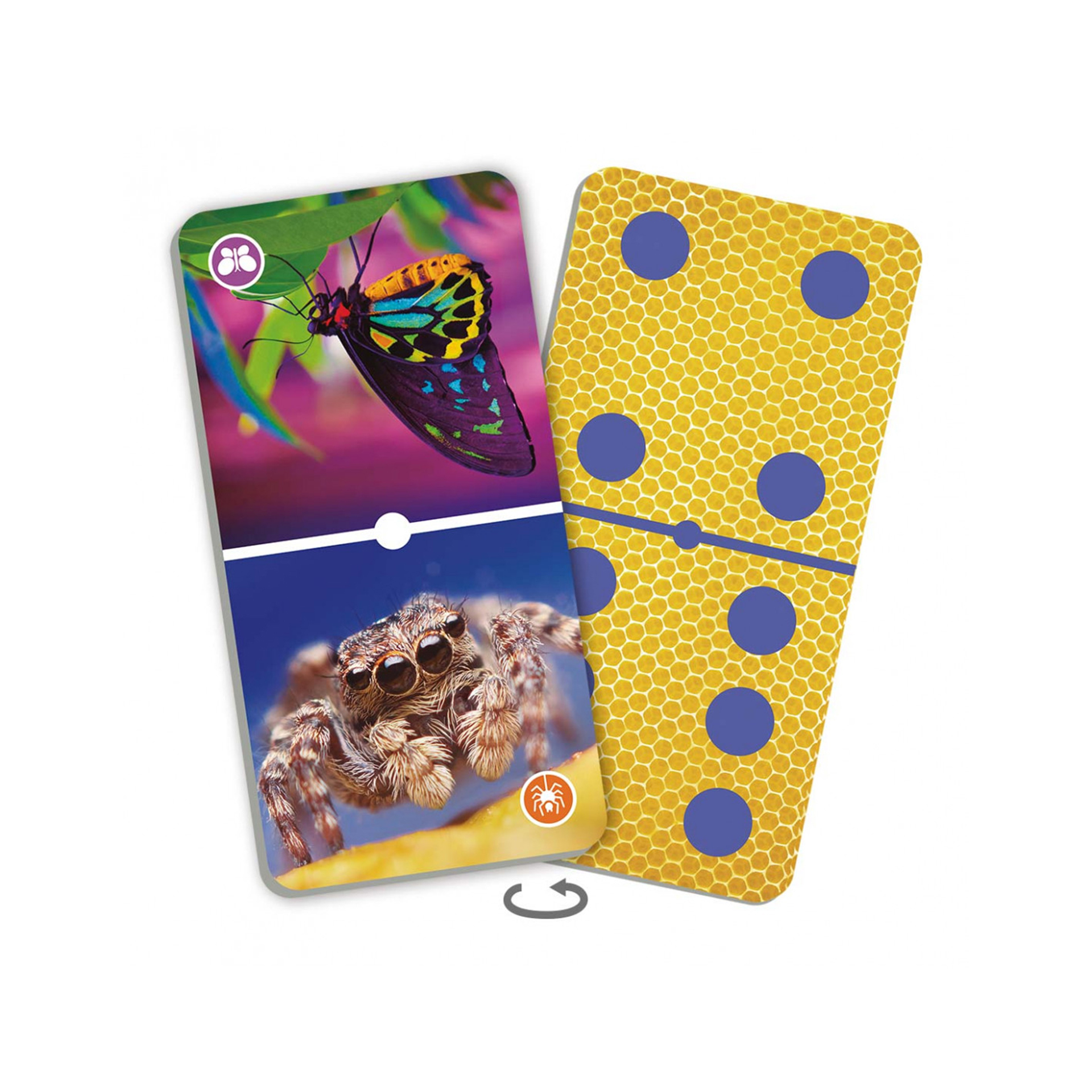 Jeu de domino « Insectes » 43 pcs