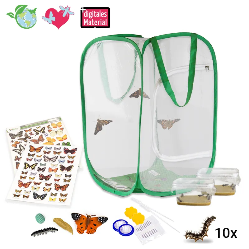 Zuchtset "Schmetterlinge", groß mit XXL-Voliere, 12-tlg.