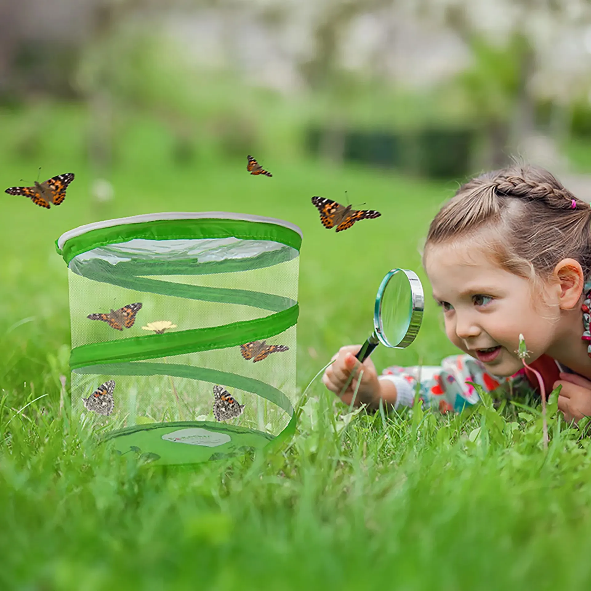 uber uns 2026 Schmetterlingszucht