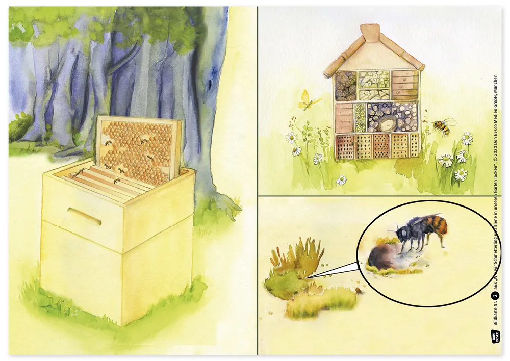 Bildergeschichten-Karten "Wie wir Schmetterling und Biene in unseren Garten locken", 12-tlg.