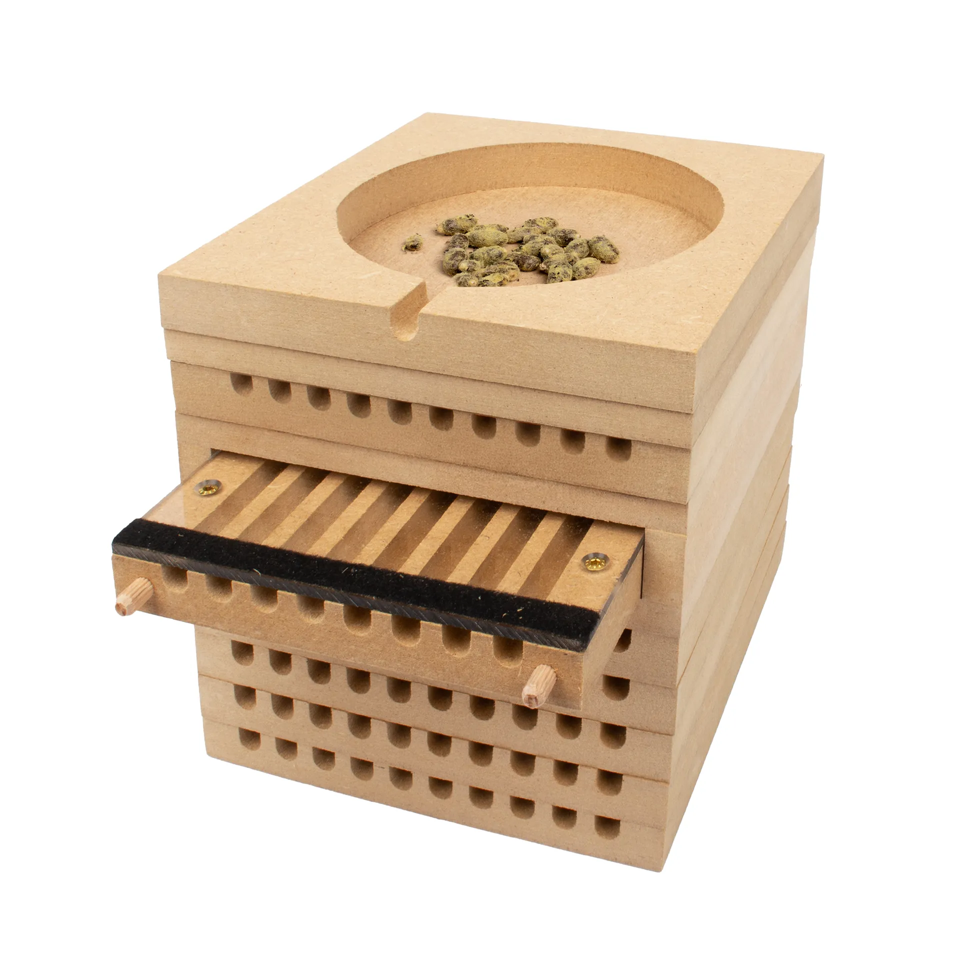 Zuchtset "Wildbienen mit Kokons", Rote Mauerbiene, 5-tlg.