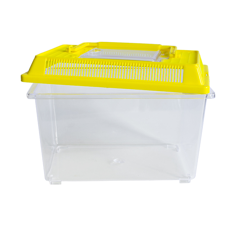 Insekten-Beobachtungsbox, aus Kunststoff