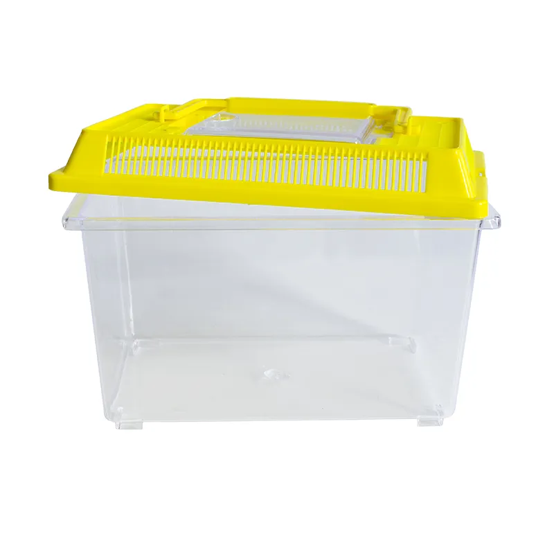 Insekten-Beobachtungsbox, aus Kunststoff