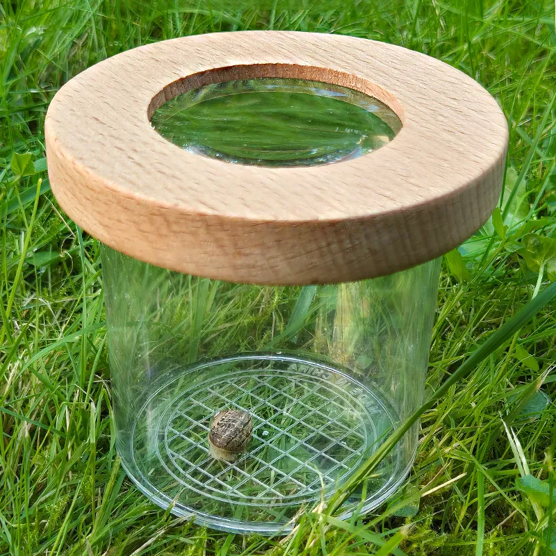 Lupen-Dose mit Holzdeckel "Natur & Digital"