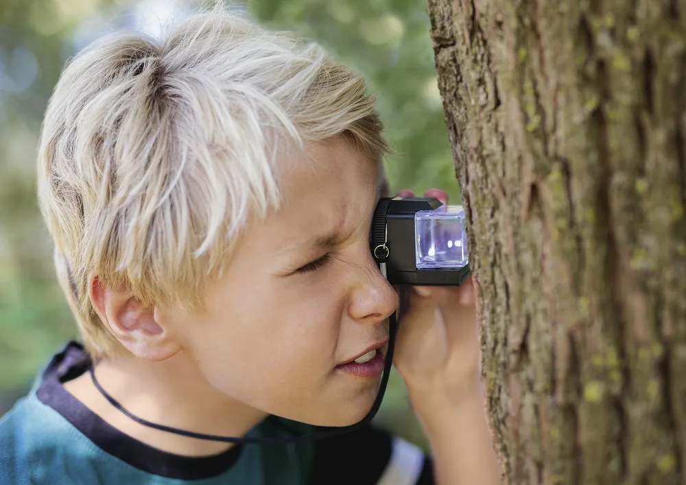 Loupe à insectes avec lumière intégrée