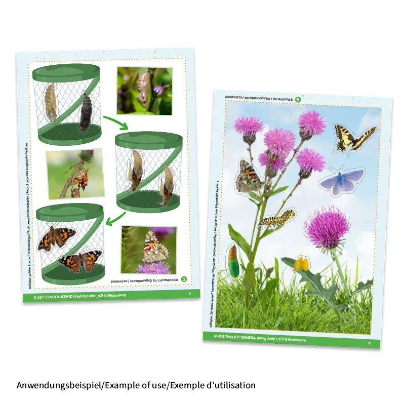 Aufkleber „Schmetterlinge", 227-tlg.