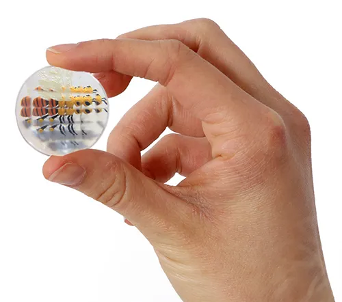 Forscherkoffer "Schmetterlings-Zucht", 46-tlg.