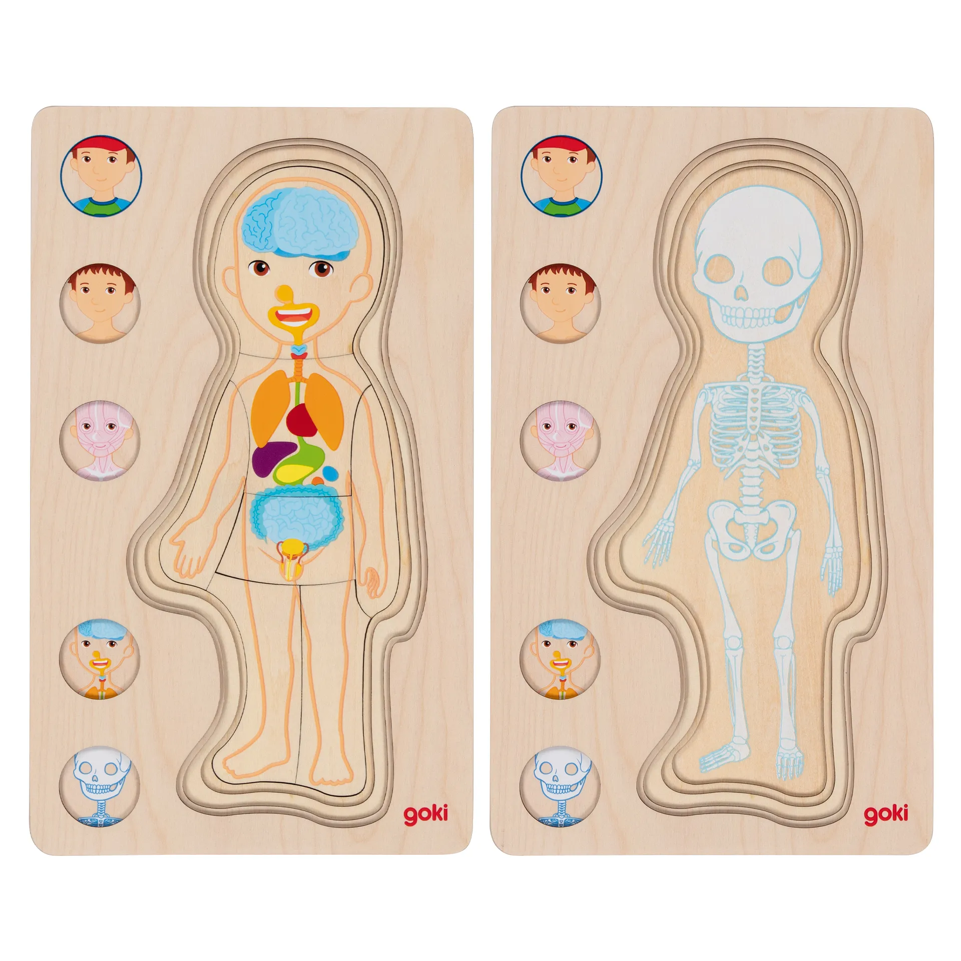 Schichten-Puzzle "Körper Junge", 29-tlg.