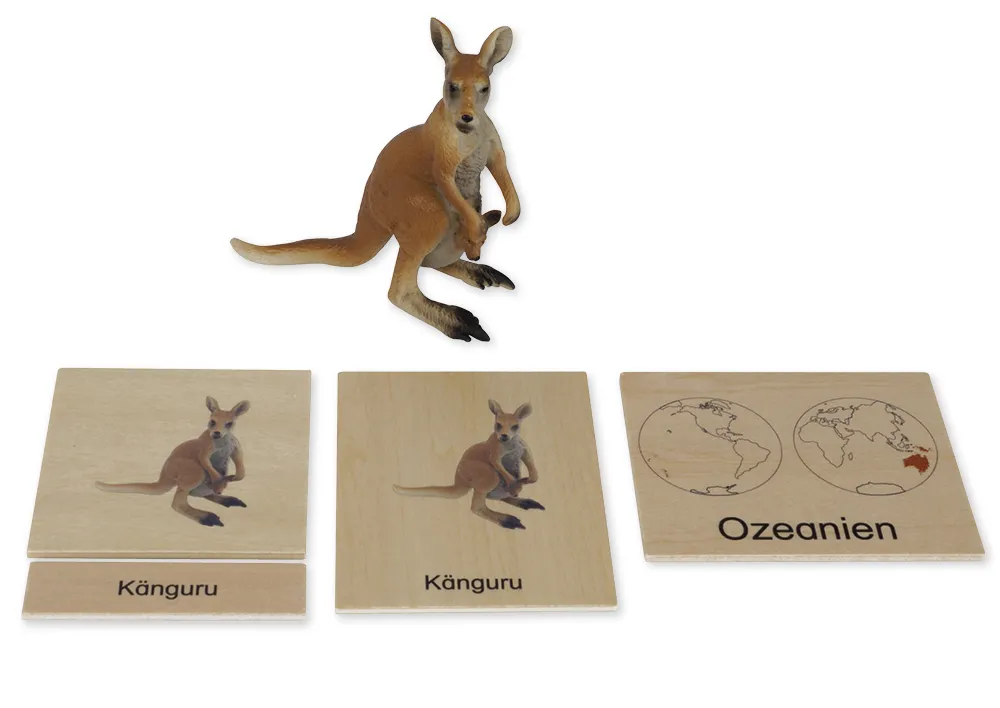 Coffret Animaux et Continents TimeTEX « Montessori Premium »