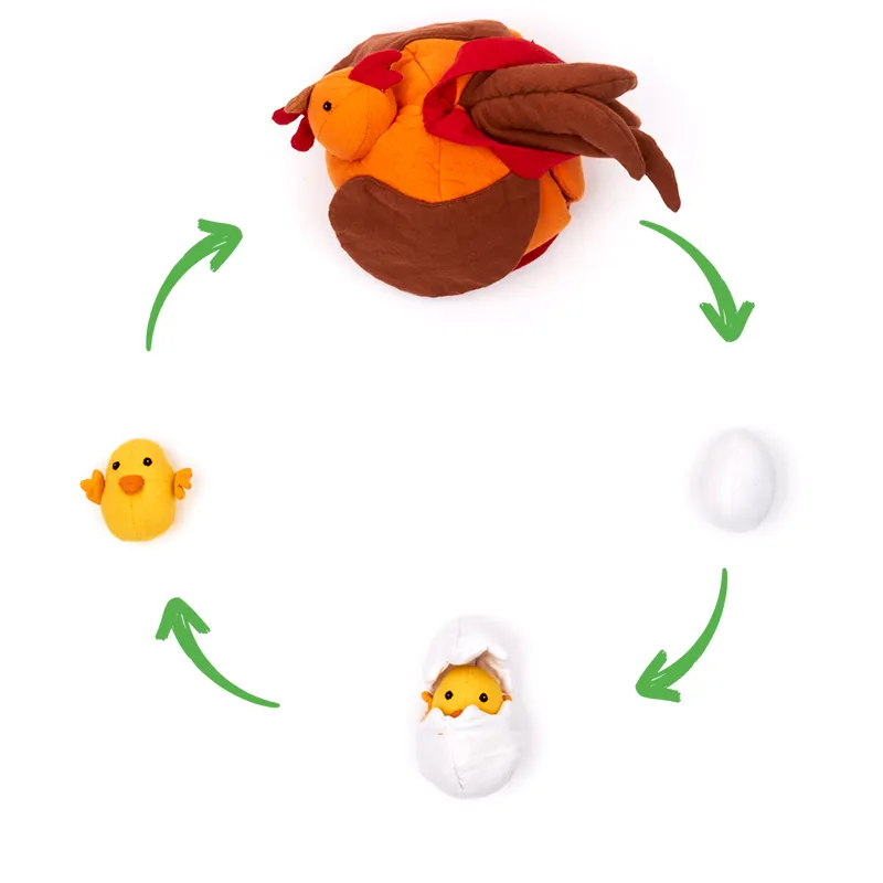 Lebenszyklus-Stoffmodell "Huhn mit Küken", 8-tlg.