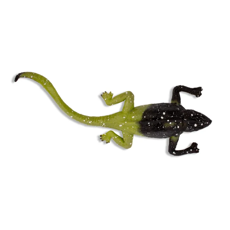 Farbwechselnde Eidechse, 12x5 cm Farbwechselnde Eidechse, 12x5 cm