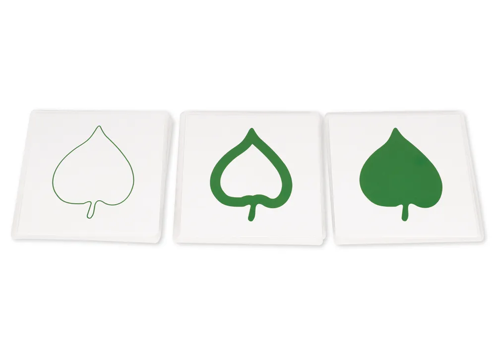 TimeTEX botanisk kortsæt "Montessori Premium"