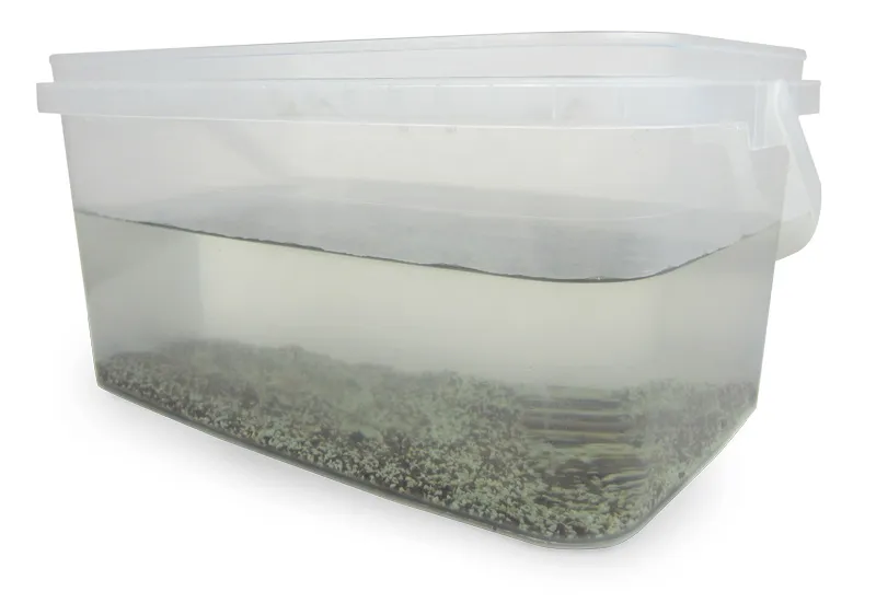 Zuchtset "Triops", 6-tlg.