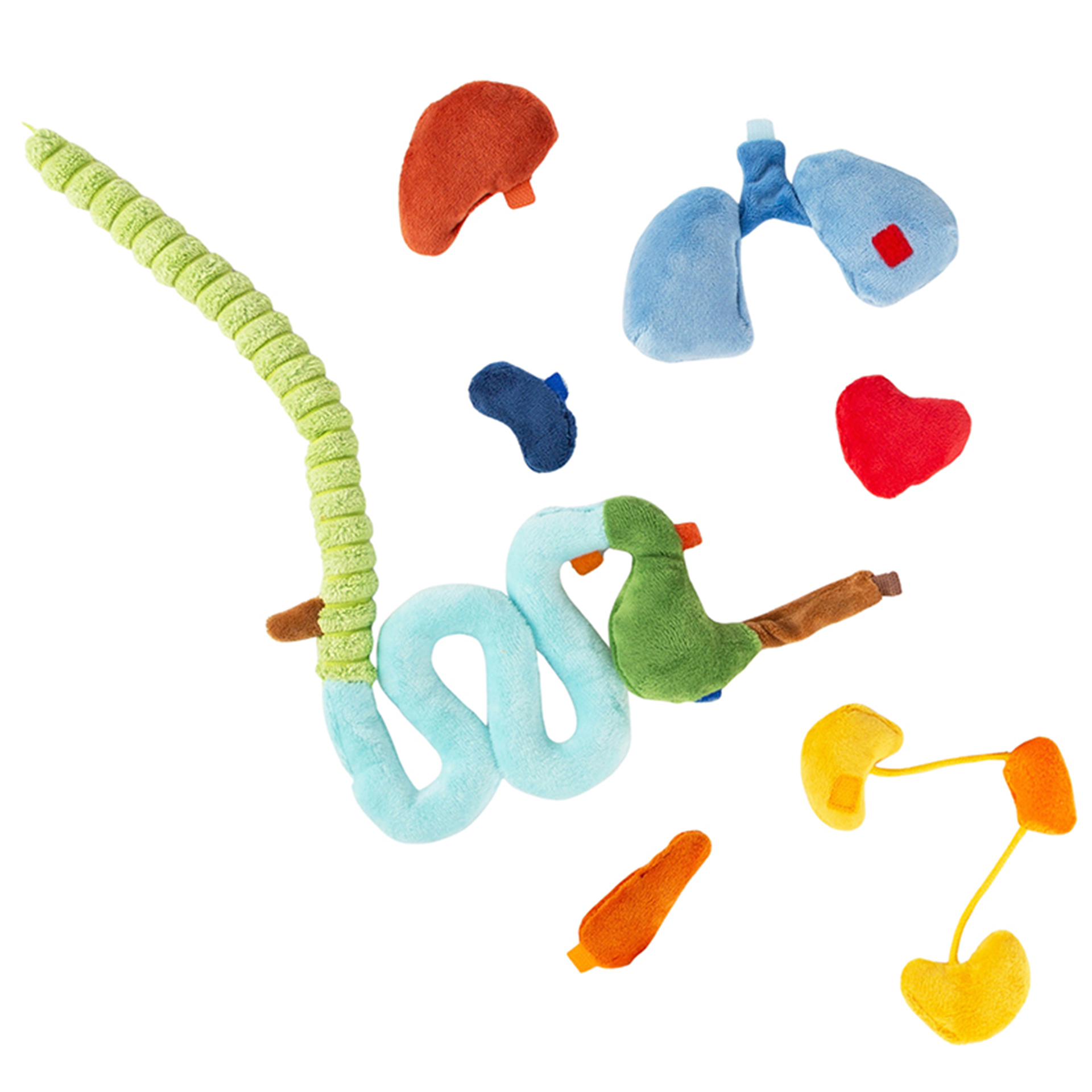 sigikid Lernpuppe "Erwins Körper", 44 cm
