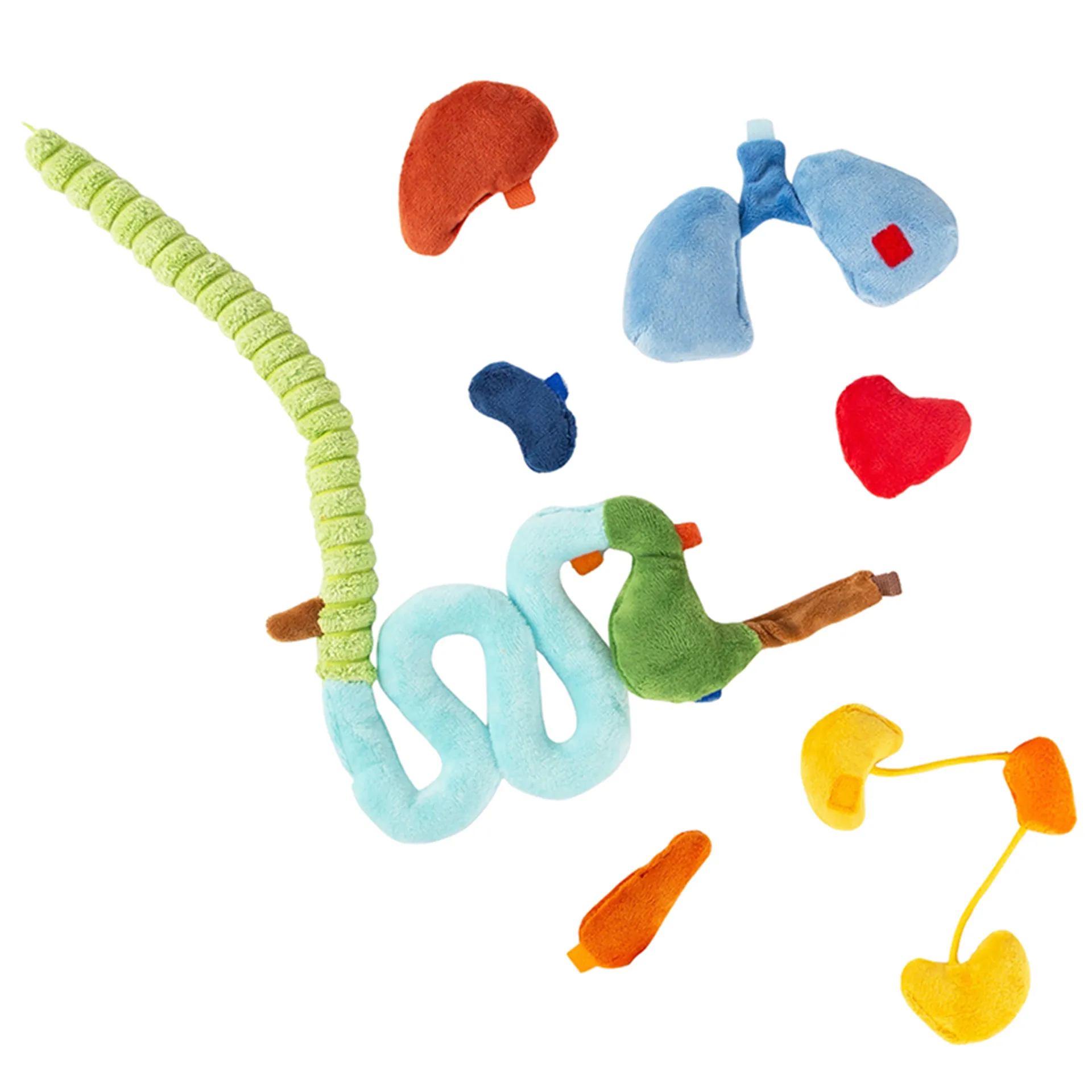 sigikid Lernpuppe "Erwins Körper", 44 cm